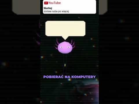 Kim Jest: KinitoPET *historia wirusa*