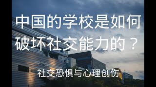 为什么社交恐惧越来越流行？中国的学校是怎样抑制学生的社交能力的？