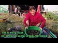 Em hương bơi xuồng vô đám rau muống bắt ốc trúng mánh 