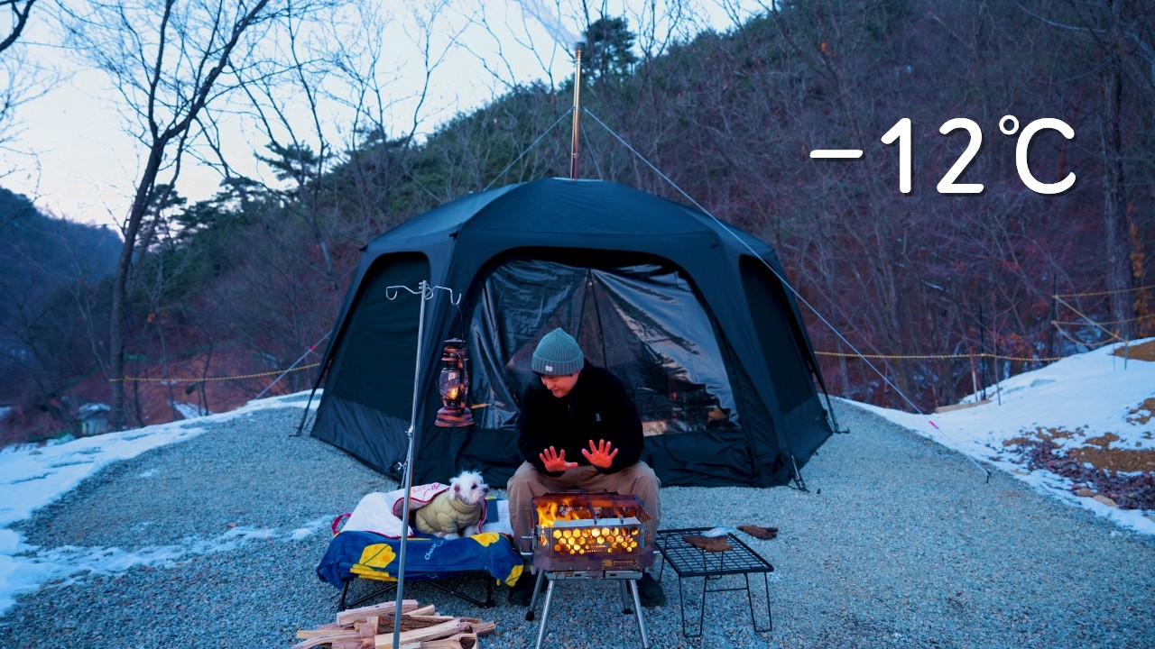 Поход с моей пожилой собакой в ​​тихий зимний лес 🐾. ASMR с дровяной печью.