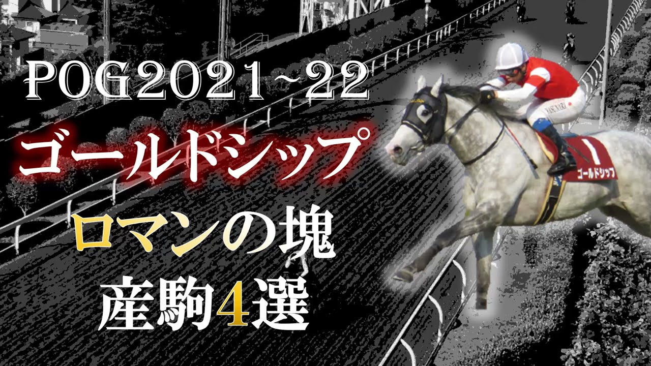 POG21-22] Introducing four romantic two-year-old horses sired by