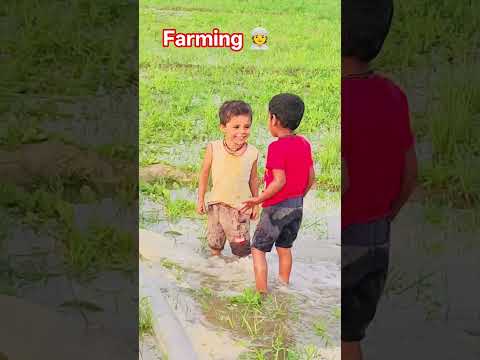farming 👳 farmingvlog