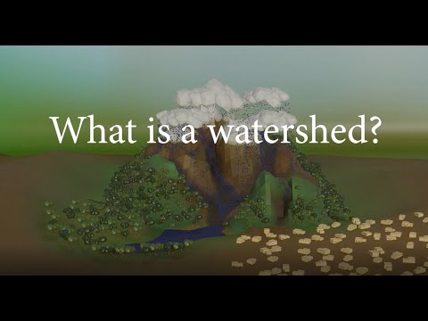What is Watershed?