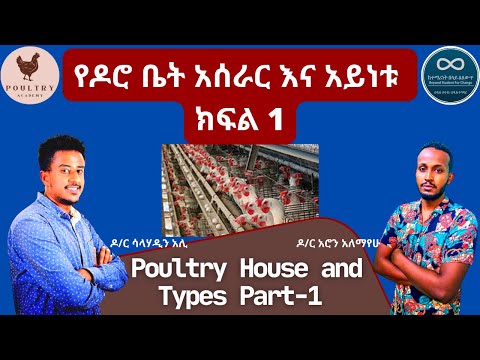 ቪዲዮ: ዶሮዎች ለማርባት ወደ ቤት ይመጣሉ ማለት ምን ማለት ነው?