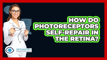 How Do Photoreceptors Self-repair In The Retina? - Optometry Knowledge Base