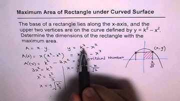 Maximum Area of Rectangle Under a Curve Parabola K^2 - x Application Derivatives