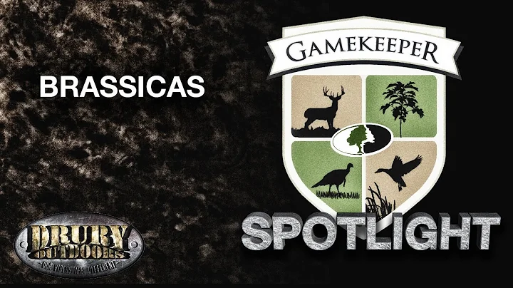 GK Spotlight - Brassicas