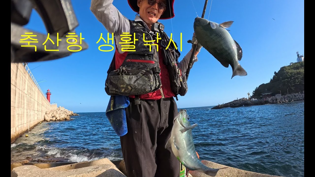 영덕축산항 생활낚시 3