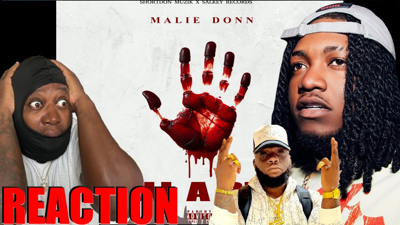 Malie Donn - Still A Bleed (Official Audio) 𝐑𝐄𝐀𝐂𝐓𝐈𝐎𝐍