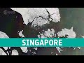 Earth from Space: Singapore