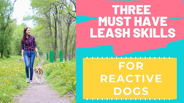 Three MUST HAVE Leash Skills for Reactive Dogs | Dog Training Tutorial