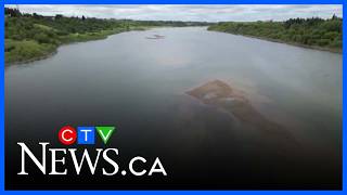 Saskatoon’s Mayor praises ‘pothole ninjas’