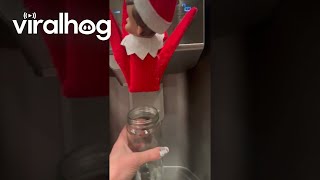 Elf on the Shelfs Icemaker Surprise || ViralHog