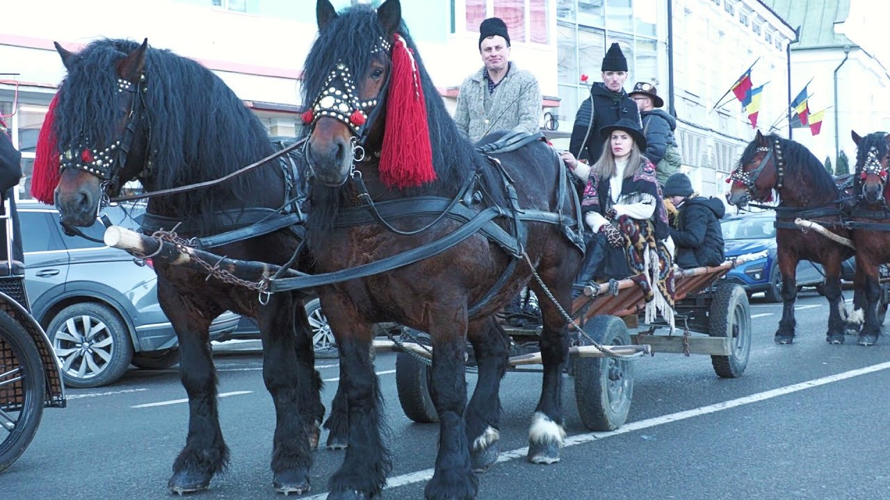Cai Datini şi Obiceiuri Câmpulung Moldovenesc ep.4