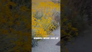 Download Lagu #motivation#motorsport#motor#sport#bmw#cinematic#sunset#quote#short 🏍️🔥💨 MP3