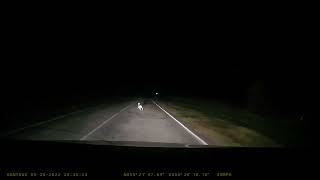 Заяц? заяц, заяц screenshot 1