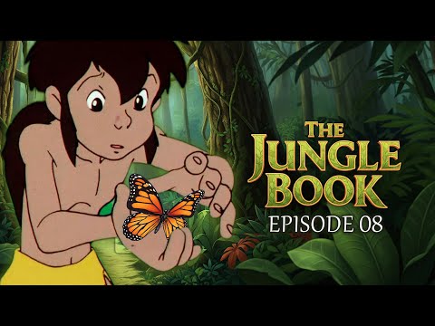 The Jungle Book Ep.8 – Sorry, Baloo! | Mowgli’s Adventures