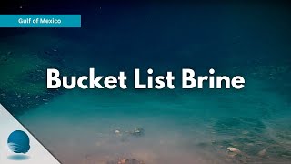 Gulf of Mexico: Bucket List Brine