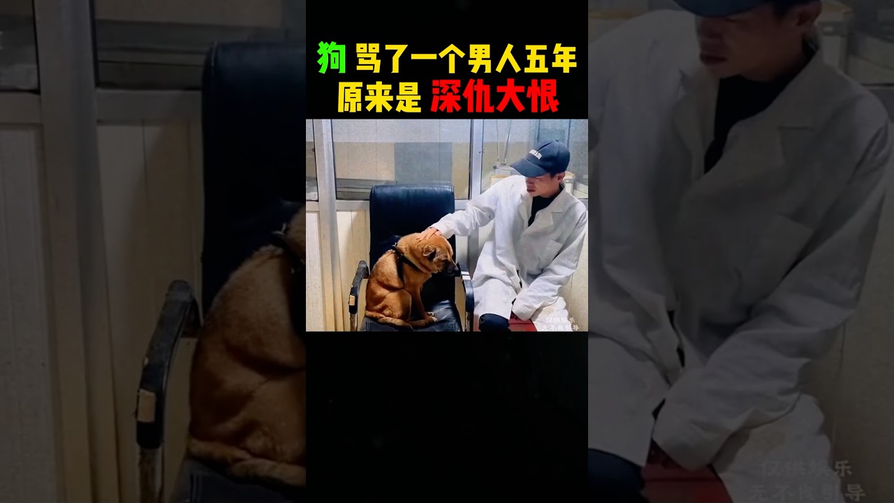 狗骂了一个男人五年，原来真的有深仇大恨啊！ #automobile #大熱門 #搞笑 #影視解説 #感人壹幕 #科普 #影视聚焦 #熱門