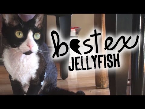 Best Ex: Jellyfish (Official Music Video)