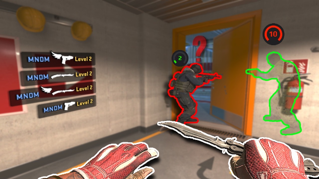 THIS IS WHAT 1000 HOURS LOOKS LIKE (CS2)