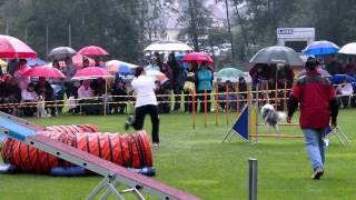 Sian Illingworth & Jazz - Final medium fastest time (European Open 2011)