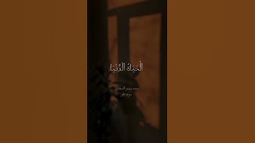 #تلاوة_خاشعة تريح القلب🫀🫀