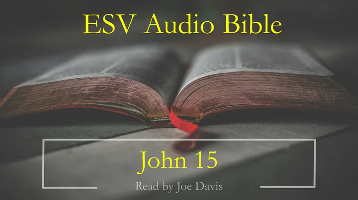 ESV Audio Bible | John Chapter 15 | Read by Joe Davis