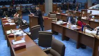 Senate Session No. 4 (July 29, 2019)