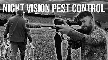 .17HMR Pest Control Using Night Vision | Browning T Bolt & Pard NV007
