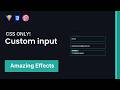 Css Input Field Animation | Floating Label