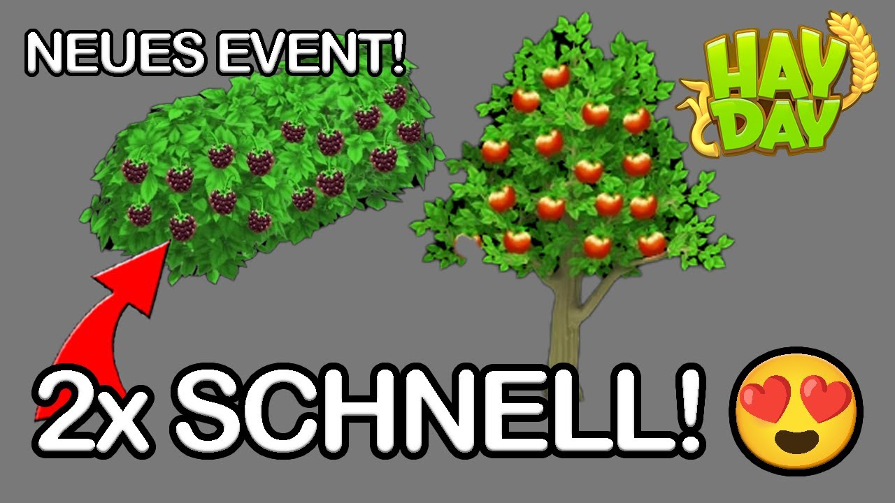DAS ERSTE NEUE EVENT Hay Day Events Der N chsten Woche SyromerB DAS ERSTE NEUE EVENT Hay Day Events Der N chsten Woche SyromerB