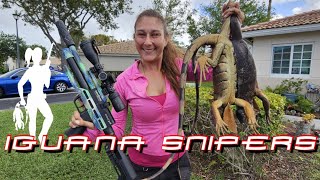 Iguana Hunting at South Florida Homes with Iguana Snipers