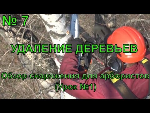 Удаление деревьев. Снаряжение для арбористов обучение (урок №1)