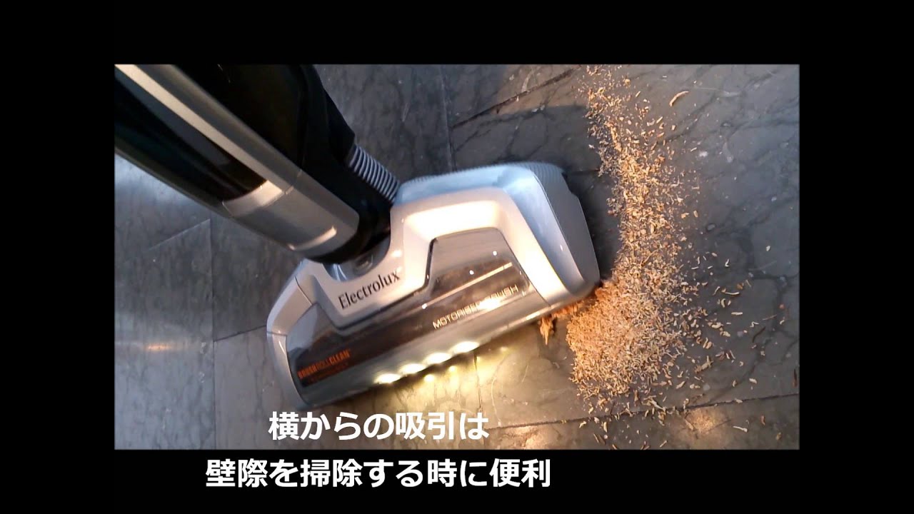 エレクトロラックス 掃除 機 髪の毛 カッター エレクトロラックス 