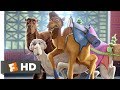 The Star (2017) - The King of the Shoes Scene (3/10) | Movieclips
