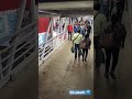 metro centro