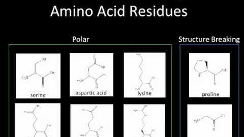 Intrinsically Disordered Proteins