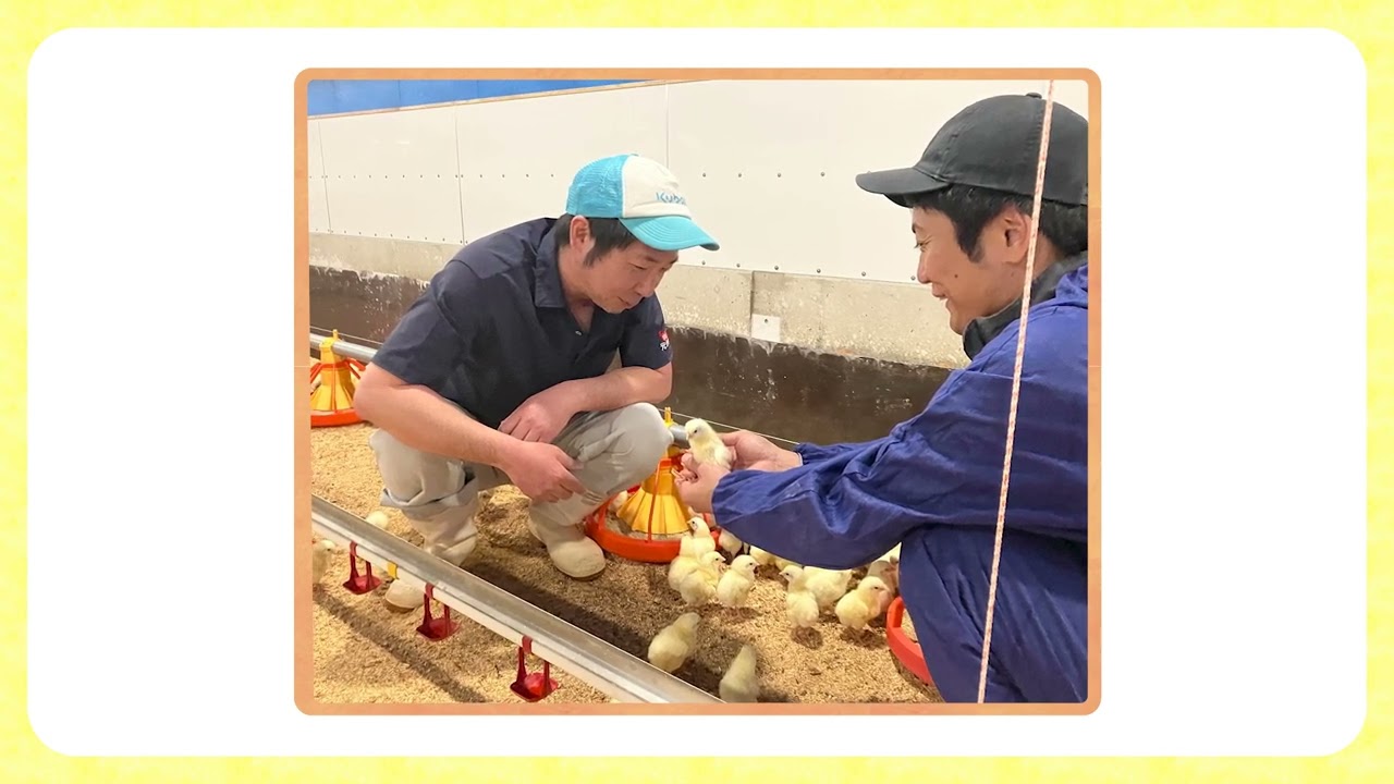 マルイ食品野田工場紹介（一般向け）