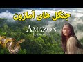 جنگل های آمازون بزرگترین جنگل های جهان 