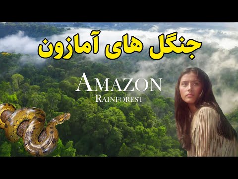 جنگل های آمازون بزرگترین جنگل های جهان