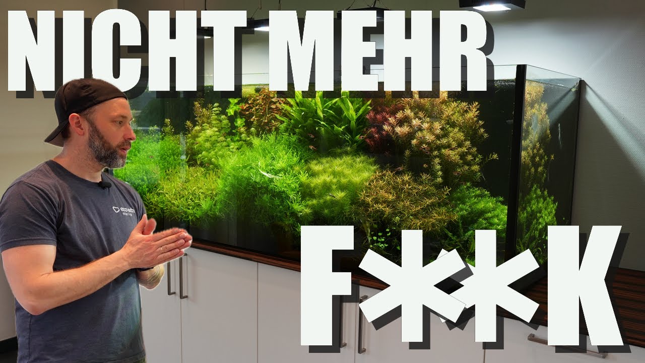 Vom CYANOTÜMPEL zum TRAUMAQUARIUM! Neue FISCHE für das 1000L Pflanzenscape!
