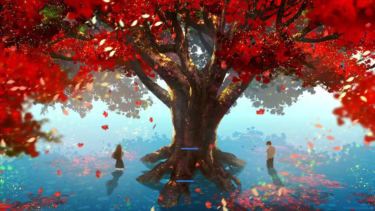 CHỜ TRÊN THÁNG NĂM [Progressive Metal Ballad] [Nhạc Hoa Lời Việt]