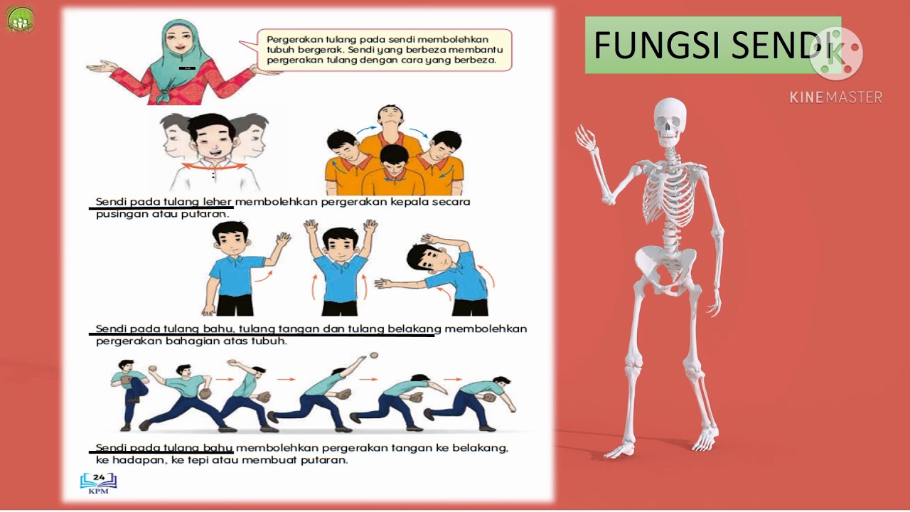 Pengaratan Sains Tahun 5 Worksheet