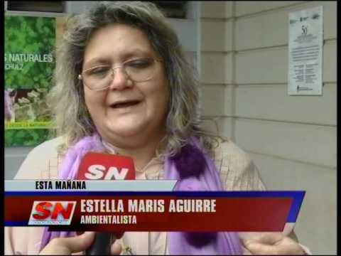 Nuevo Codigo Ambiental camera iphone 8 plus apk