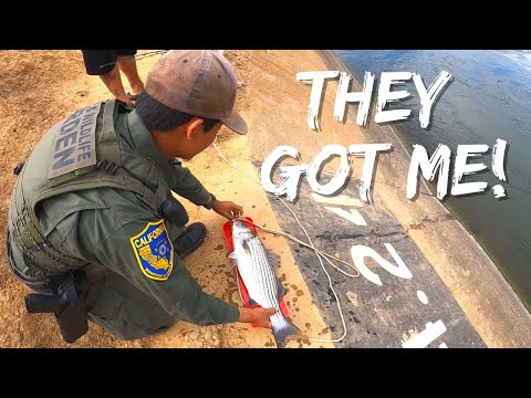 Fish and Wildlife Warden Got Me!! | CA Aqueduct Striper Fishing | Iu Mien Fishing