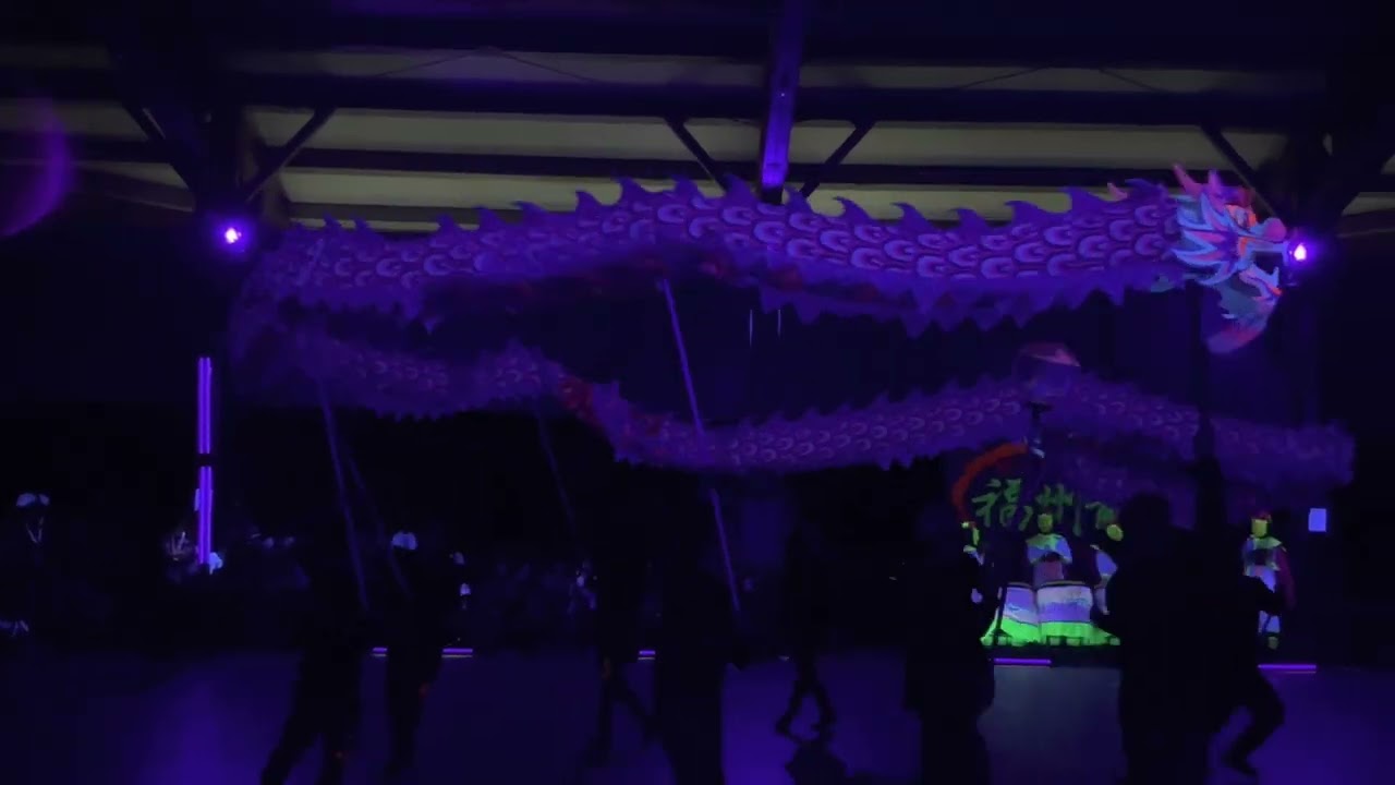 腾阳龙狮体育会 ~ 2022第四届新加坡传统福州龙推广赛