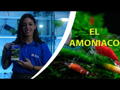 Vídeo: Diferencia Entre Amoniaco Y Amoniaco Turbio