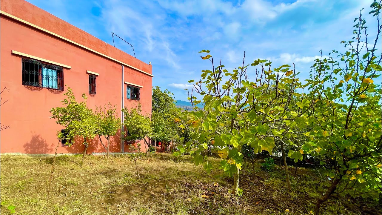 دار وغرسة كتحمق😍 مصلوحة  مساحة 700مترعلى الطريق الرئيسية مليئة بالاشجارالمثمرة0703640826 ملوسة طنجة