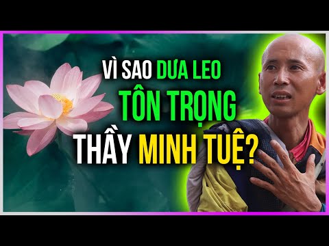 Vì sao Dưa Leo TÔN TRỌNG thầy Minh Tuệ? [Dưa Leo DBTT]